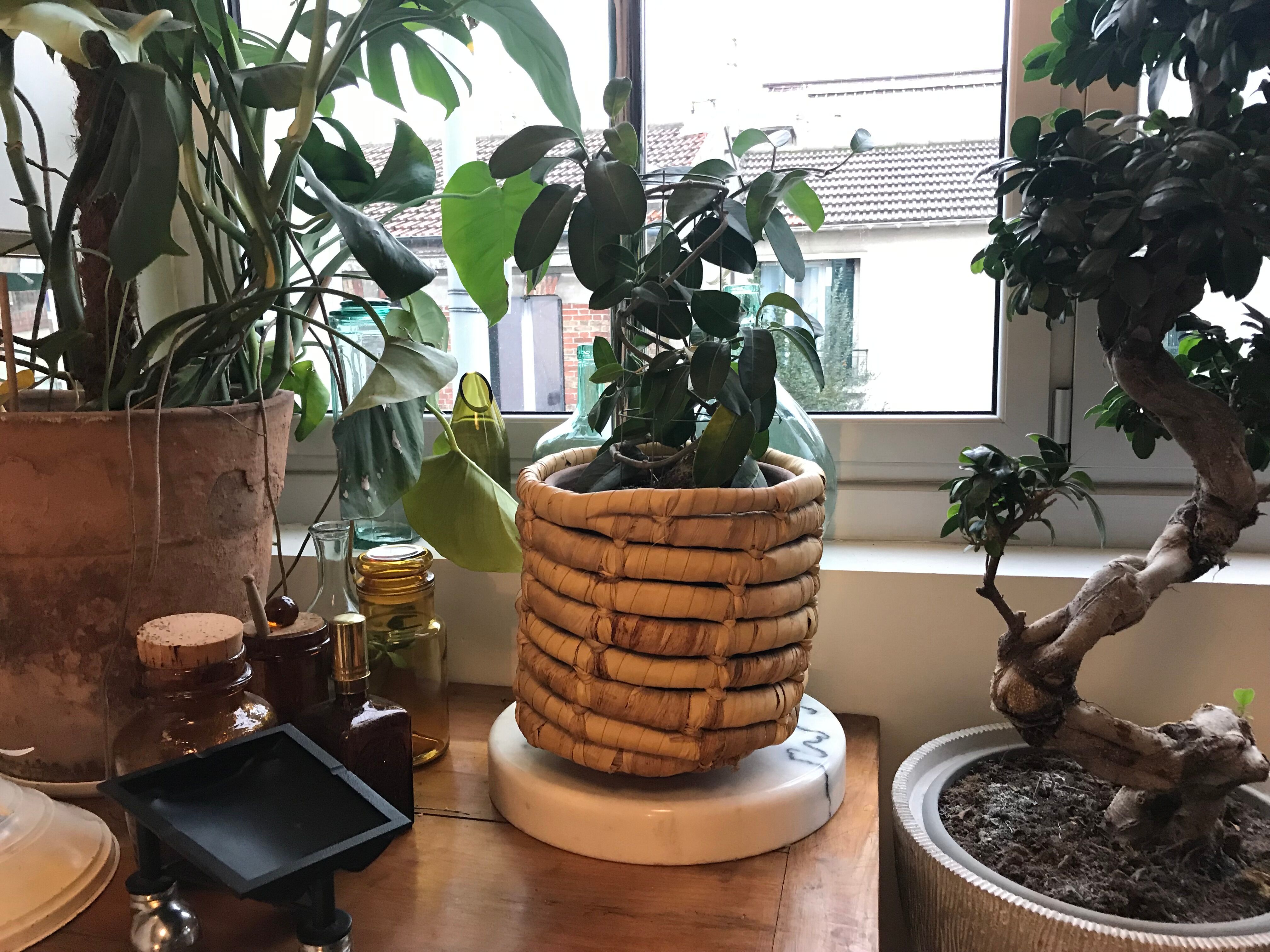 Basket / cache pot in banana leaf