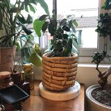 Basket / cache pot in banana leaf