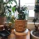 Basket / cache pot in banana leaf
