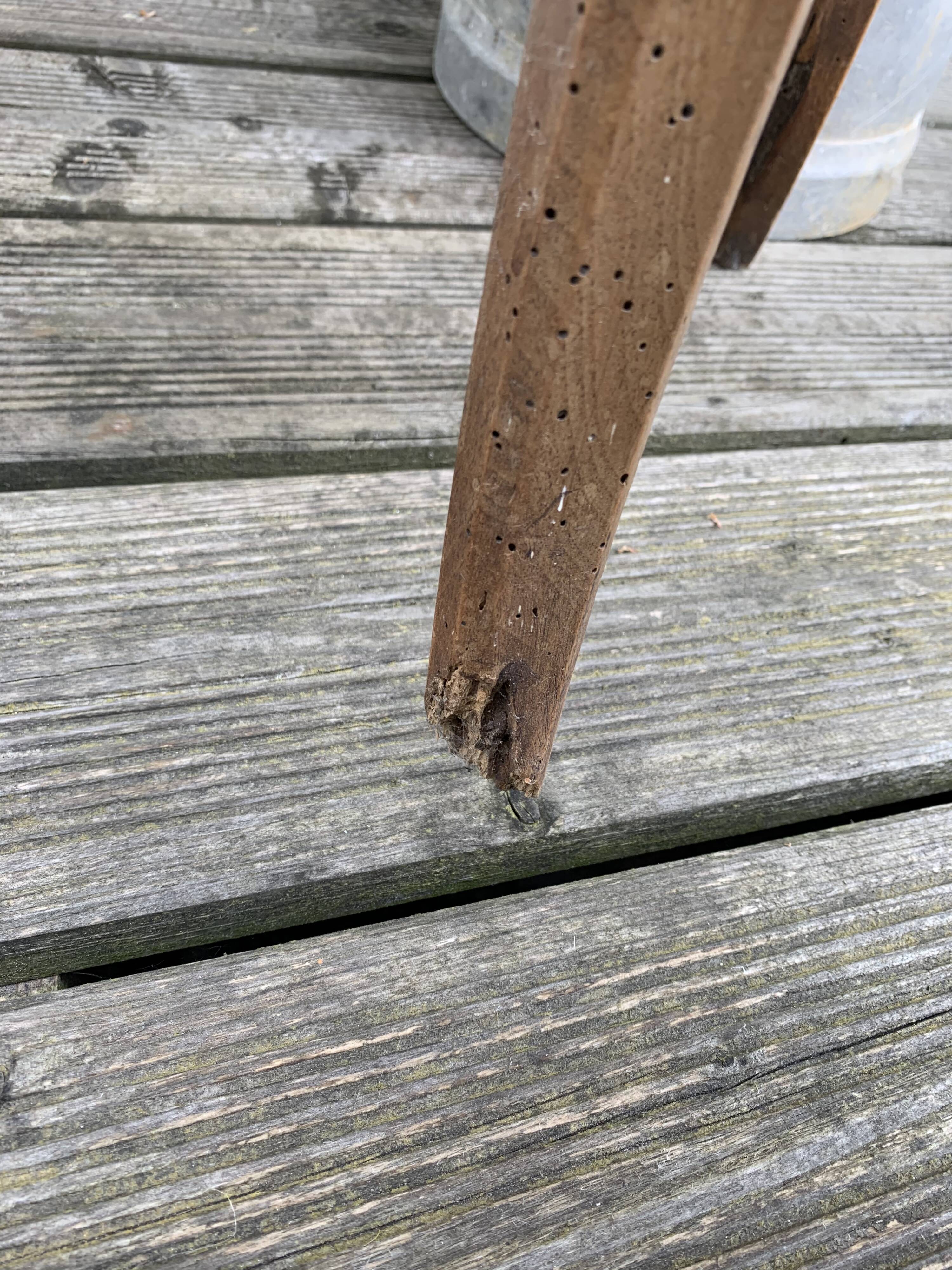 Lot of 7 mulched chairs