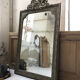 Mirror rosette Louis XVI 90x154cm