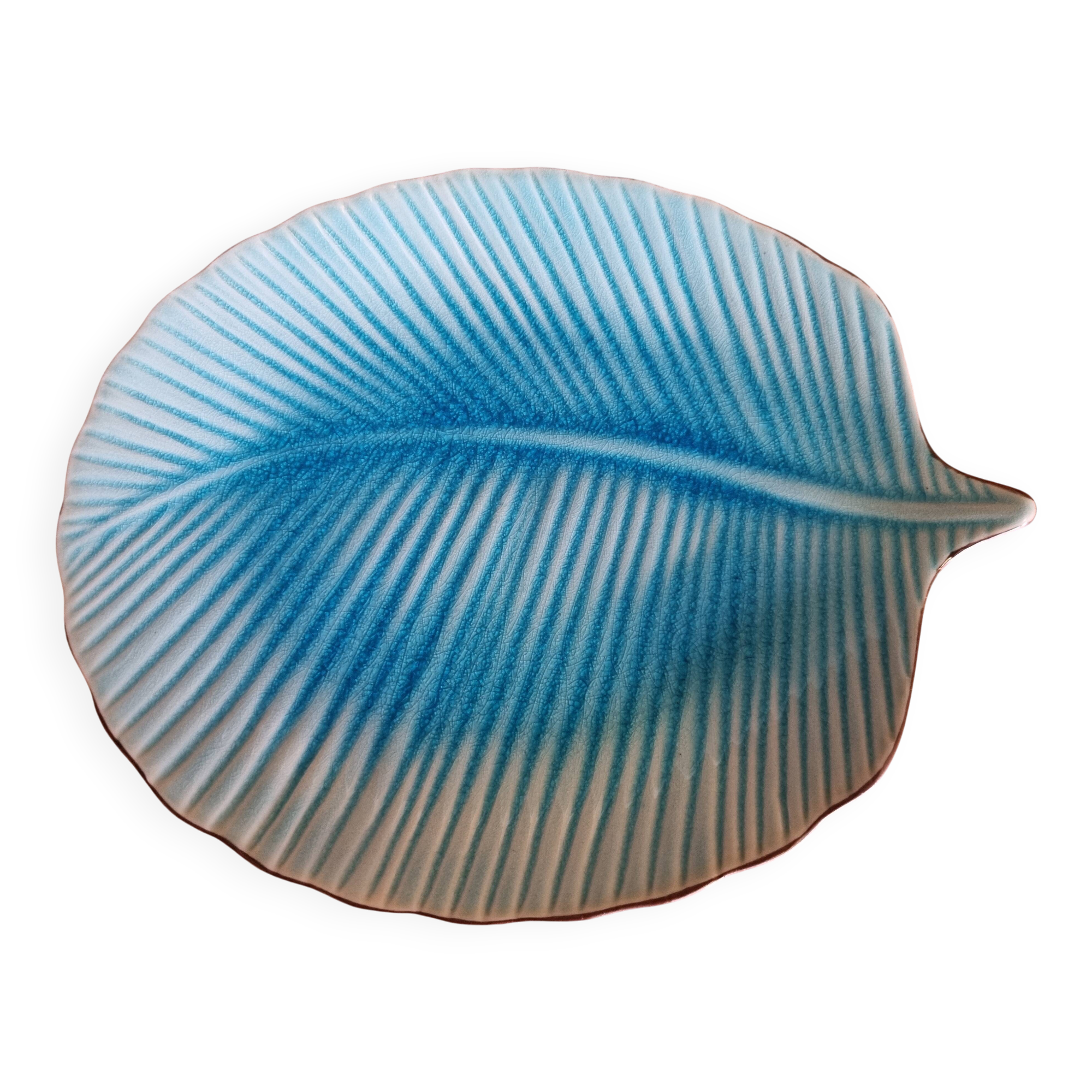 Turquoise leaf-shaped presentation plate