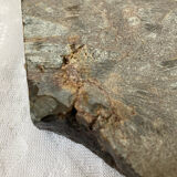 Vintage stone ashtray with orthoceras fossils