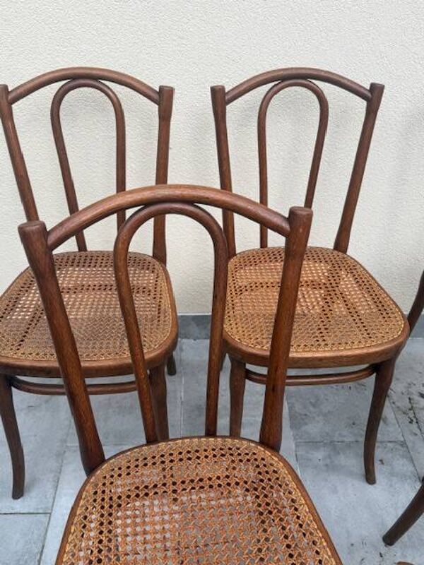 6 chaises thonet modèle 56 thonet