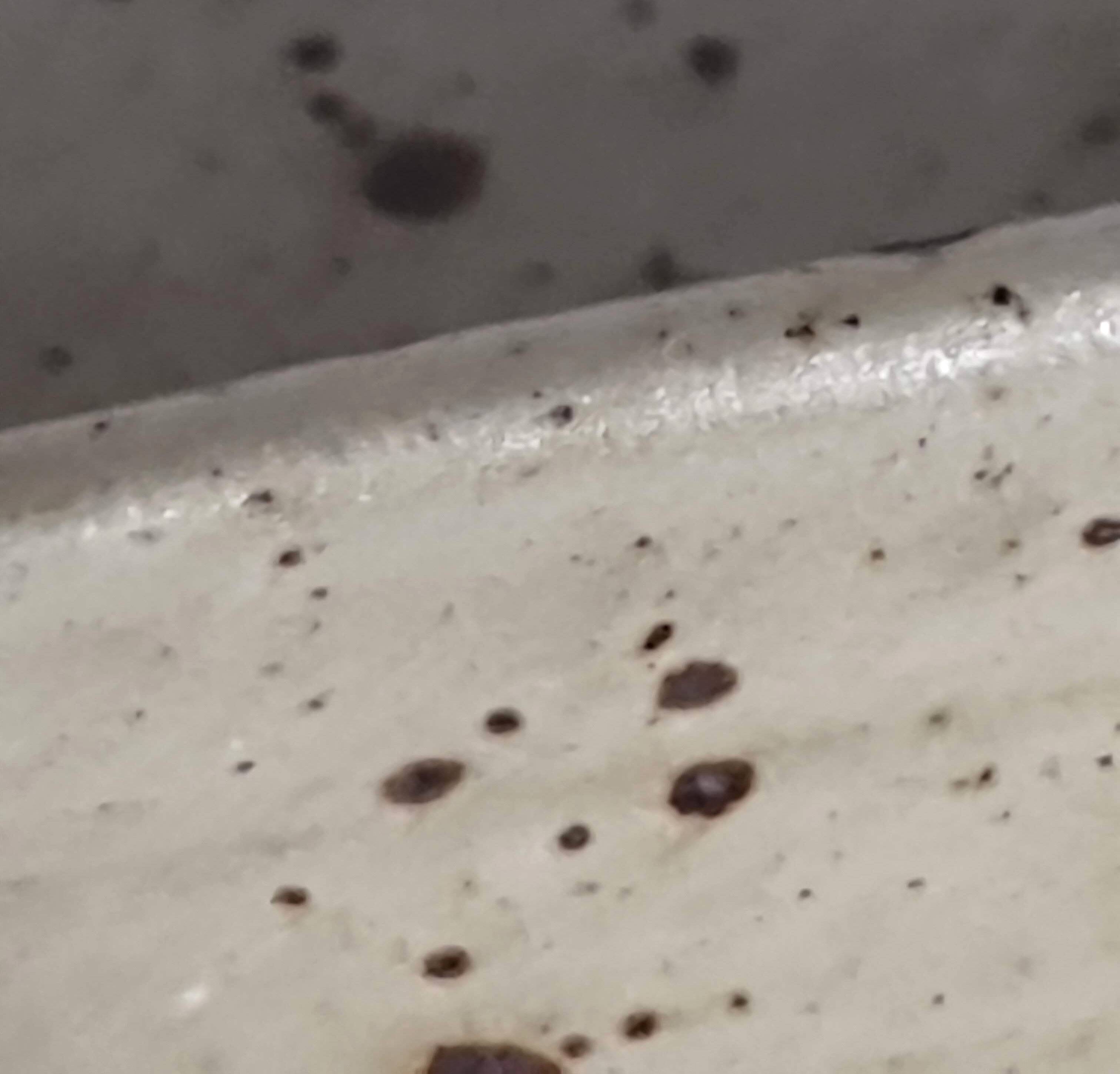 Pyrite stoneware dish