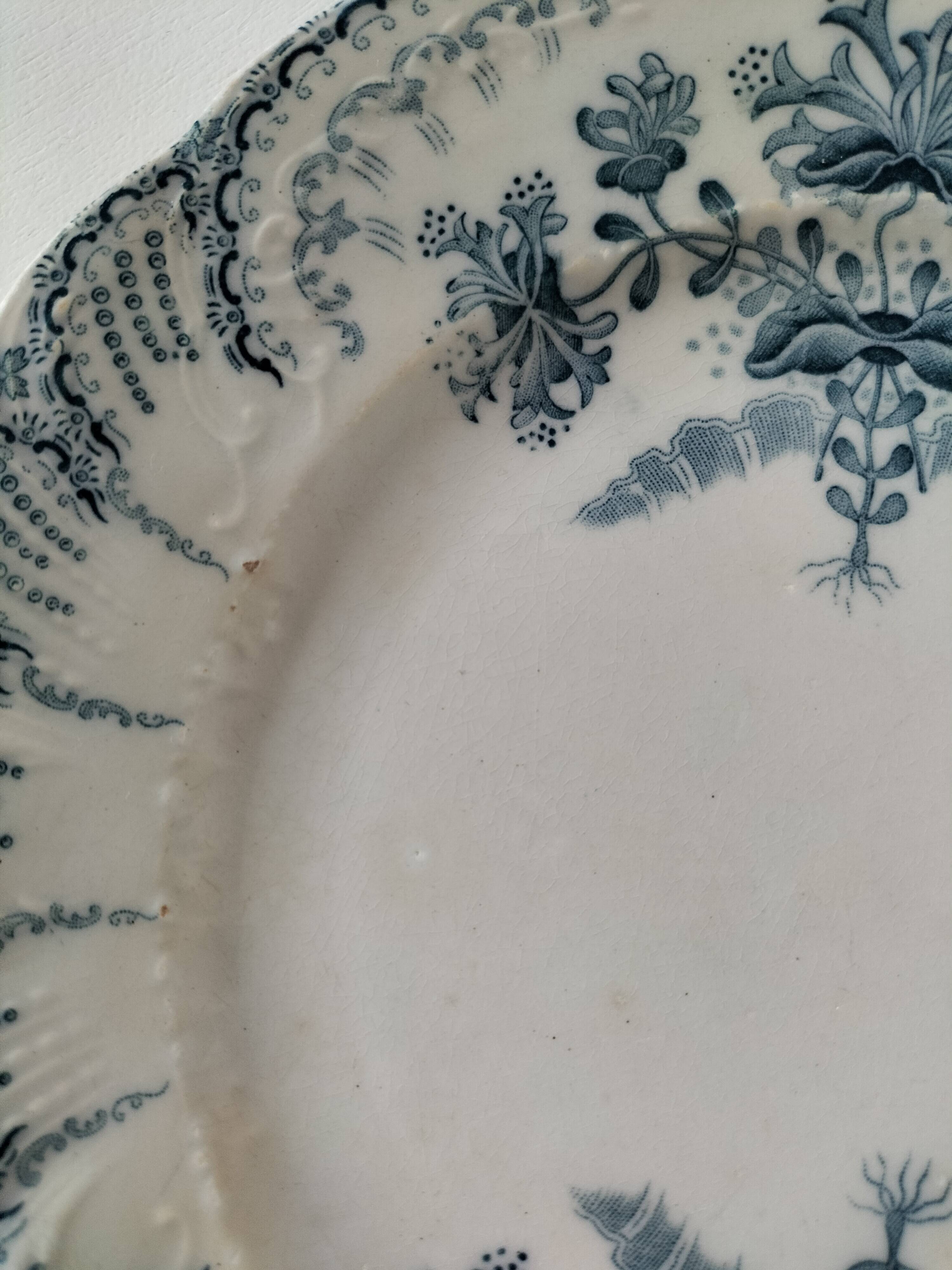 Two ironstone plates Saint-Amand Regency model