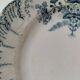 Two ironstone plates Saint-Amand Regency model