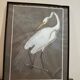 mixed media heron drawing