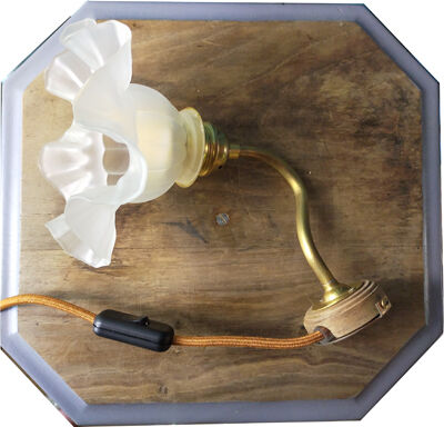 Tulip frosted glass wall lamp