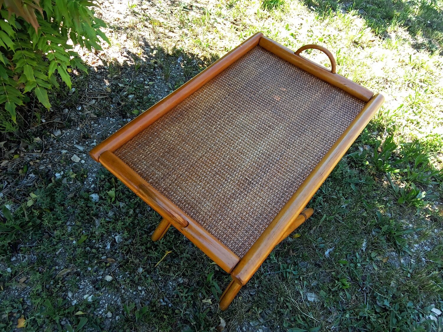 Bamboo and rattan service