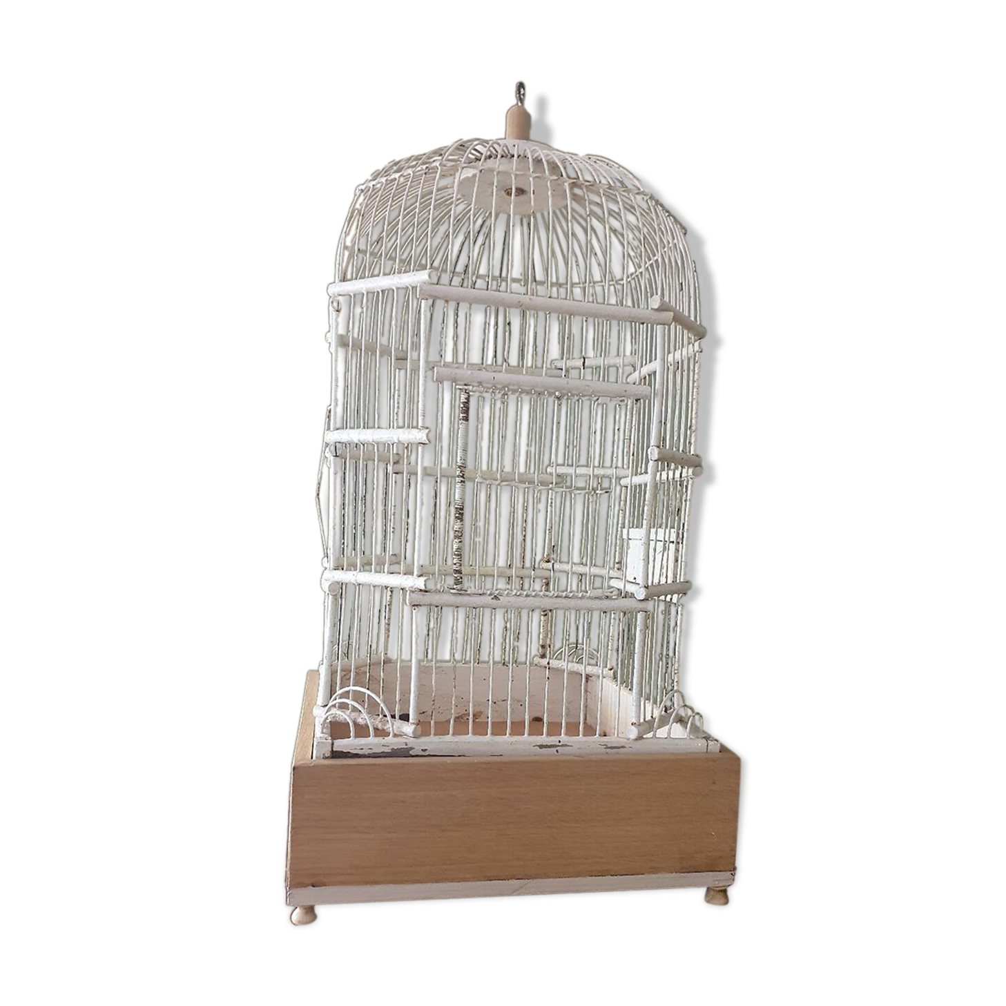 Cage à oiseaux 1900