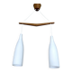 Suspension scandinave du milieu du siècle, verre teck