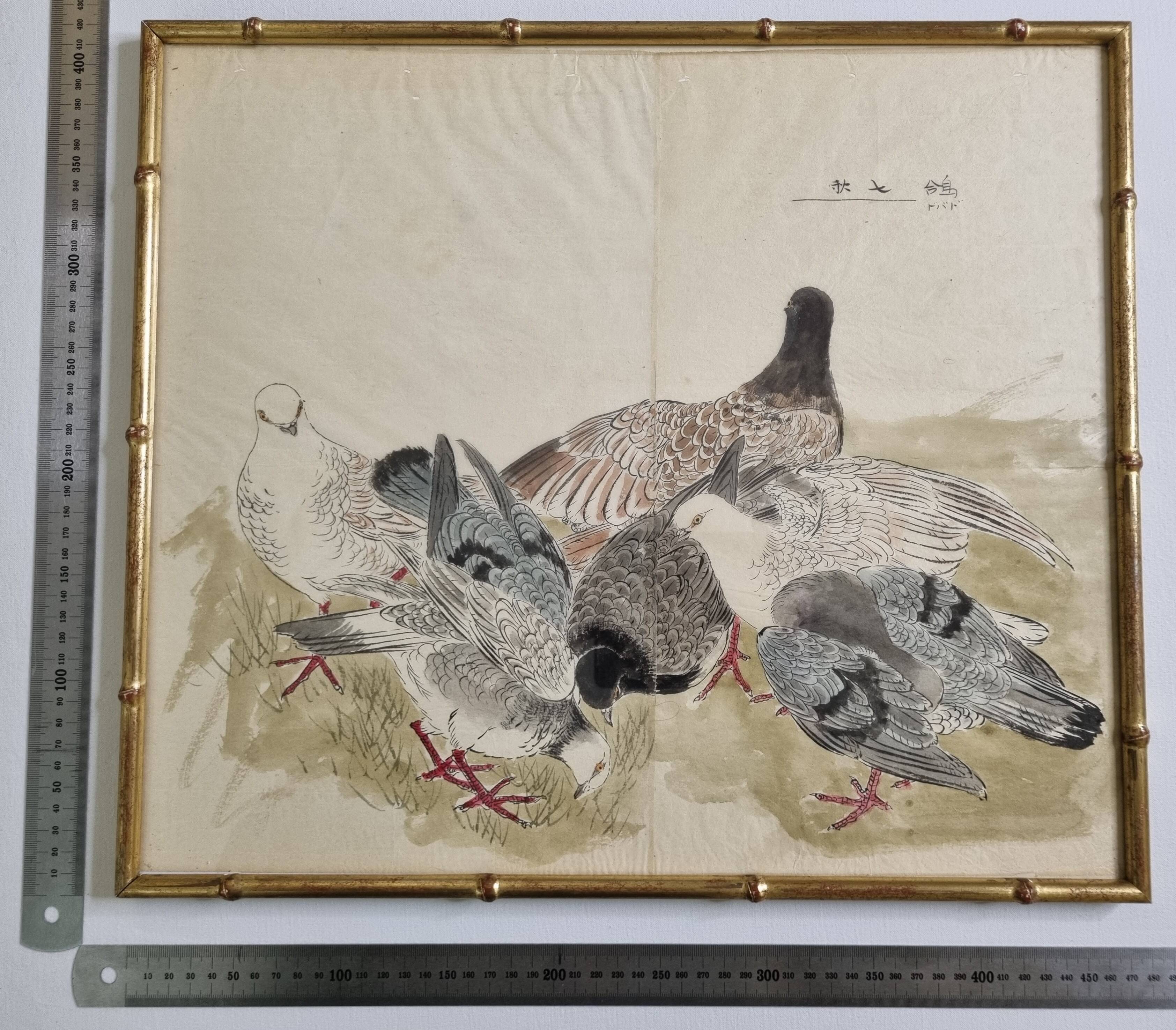 Ancient Japanese watercolour The Wood of Pigeons signed circa 1900 42x48 cm