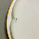 Large  enamel tin tray still life fruit Daher