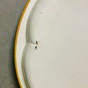 Large  enamel tin tray still life fruit Daher