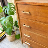 Scandinavian wooden chest of drawers Year 1950