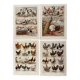 Reserved Zuzana - Set of 4 lithos on birds