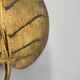 Golden metal "monstera" leaf wall light sconce, france, 1970s