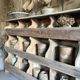 Ancien grainetier , meublé casiers en bois