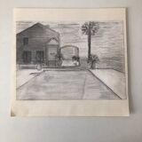 Palm Tree Illustration