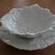 fruit slip drainer cup