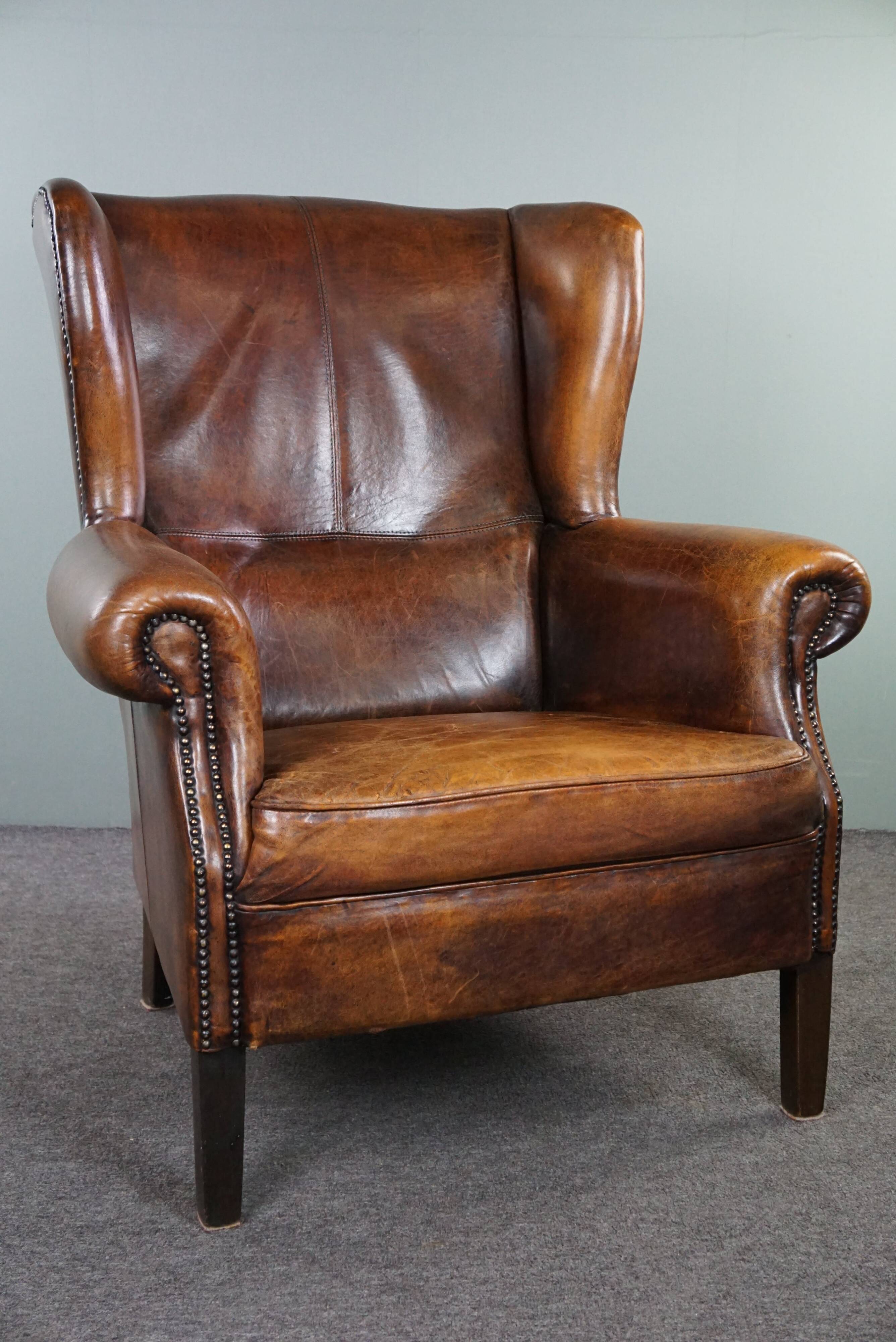 Dark wingback armchair made of sheep leather with stunning colors