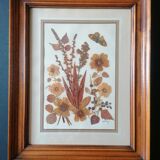Ancient herbarium