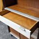 Vintage EFA bookcase and shelves by Georges Frydman