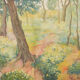Impressionist wooded landscape with flowers