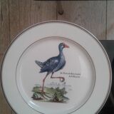 Assiettes Paradiso