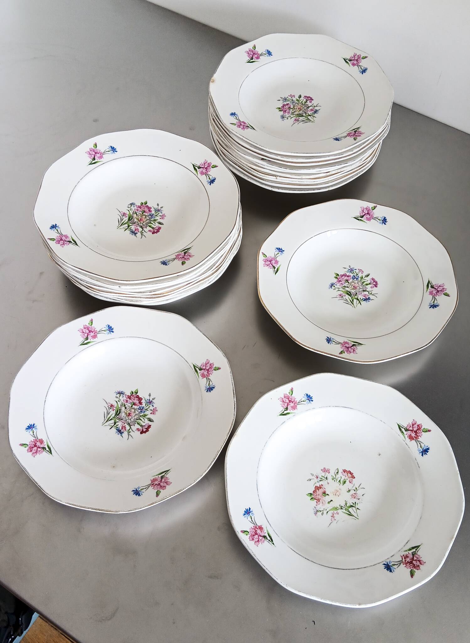 21 Digoin Sarreguemines porcelain soup plates, Nice model