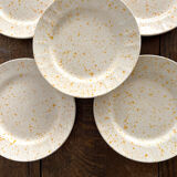 Set of 6 dessert plates