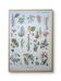 Printed in 1954, Dangerous Plants.
