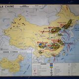 Map, school displays mdi 50s
