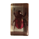 Beetle resin block