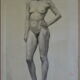 Charcoal drawing academician circa 1900