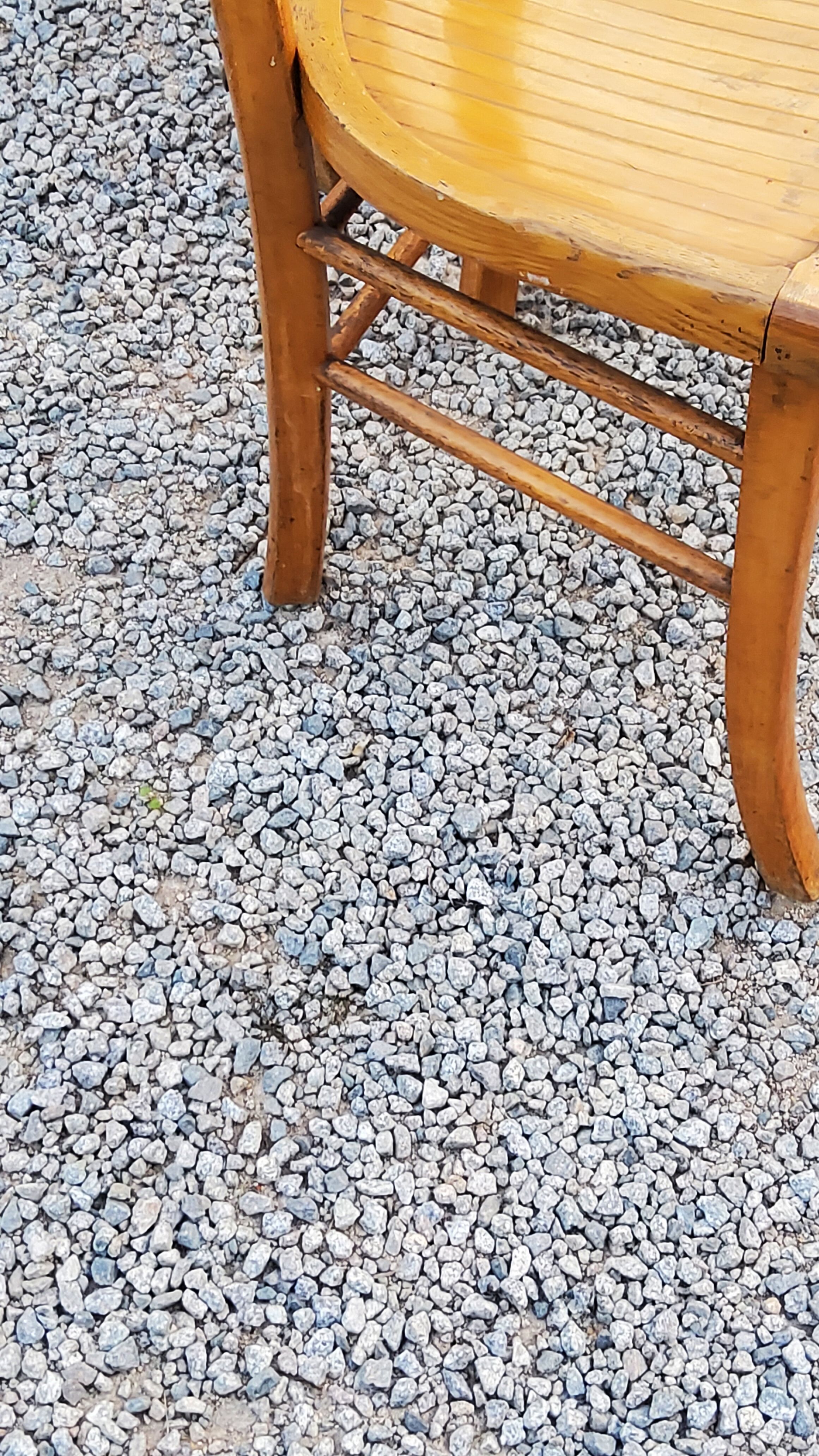 Set of 4 bistro chairs in beech and blond oak from the 50s