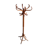 Parrot coat medium baumann beech