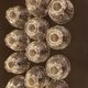14 small 50s star stem glasses