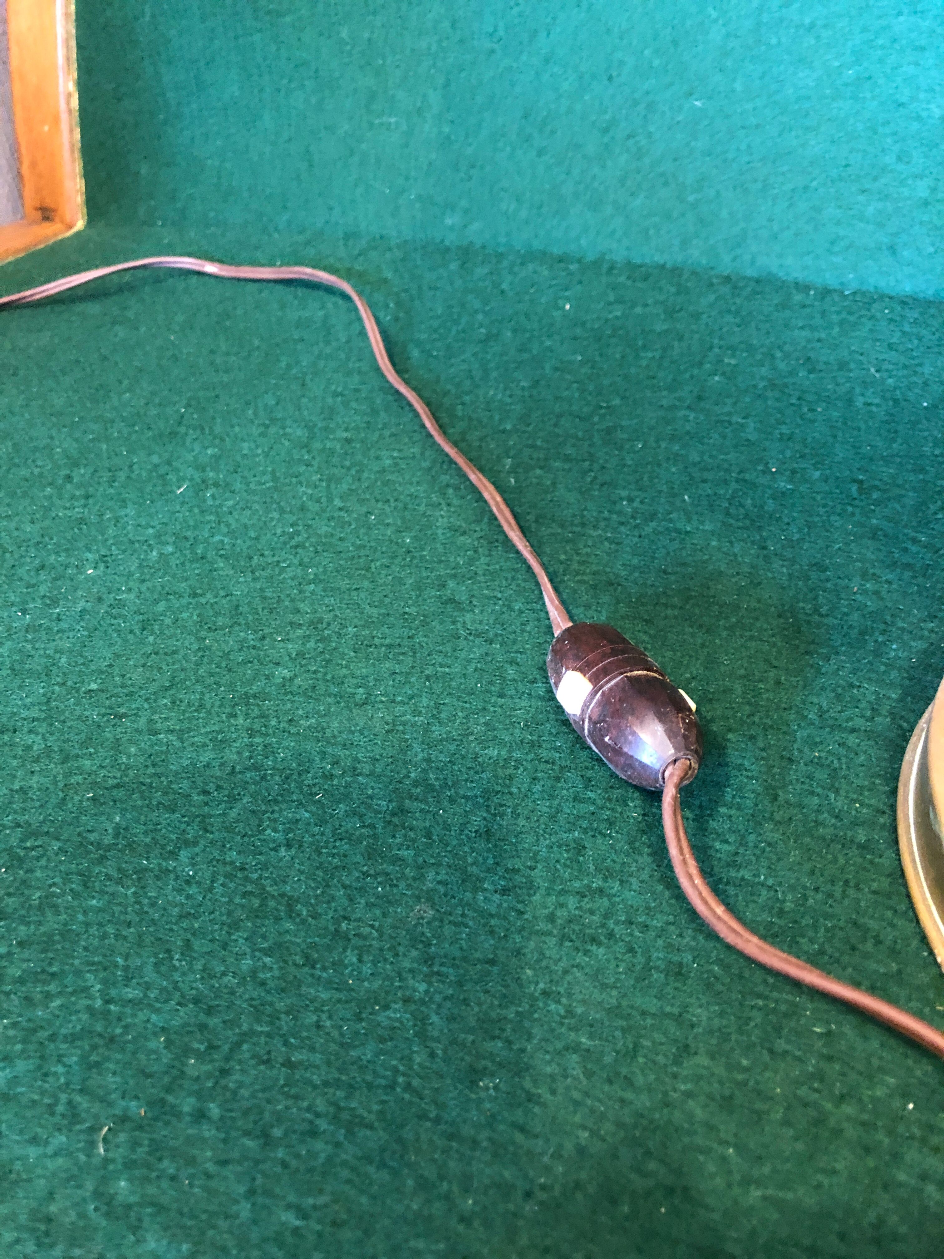 Lamp, vintage pork bladder day offal