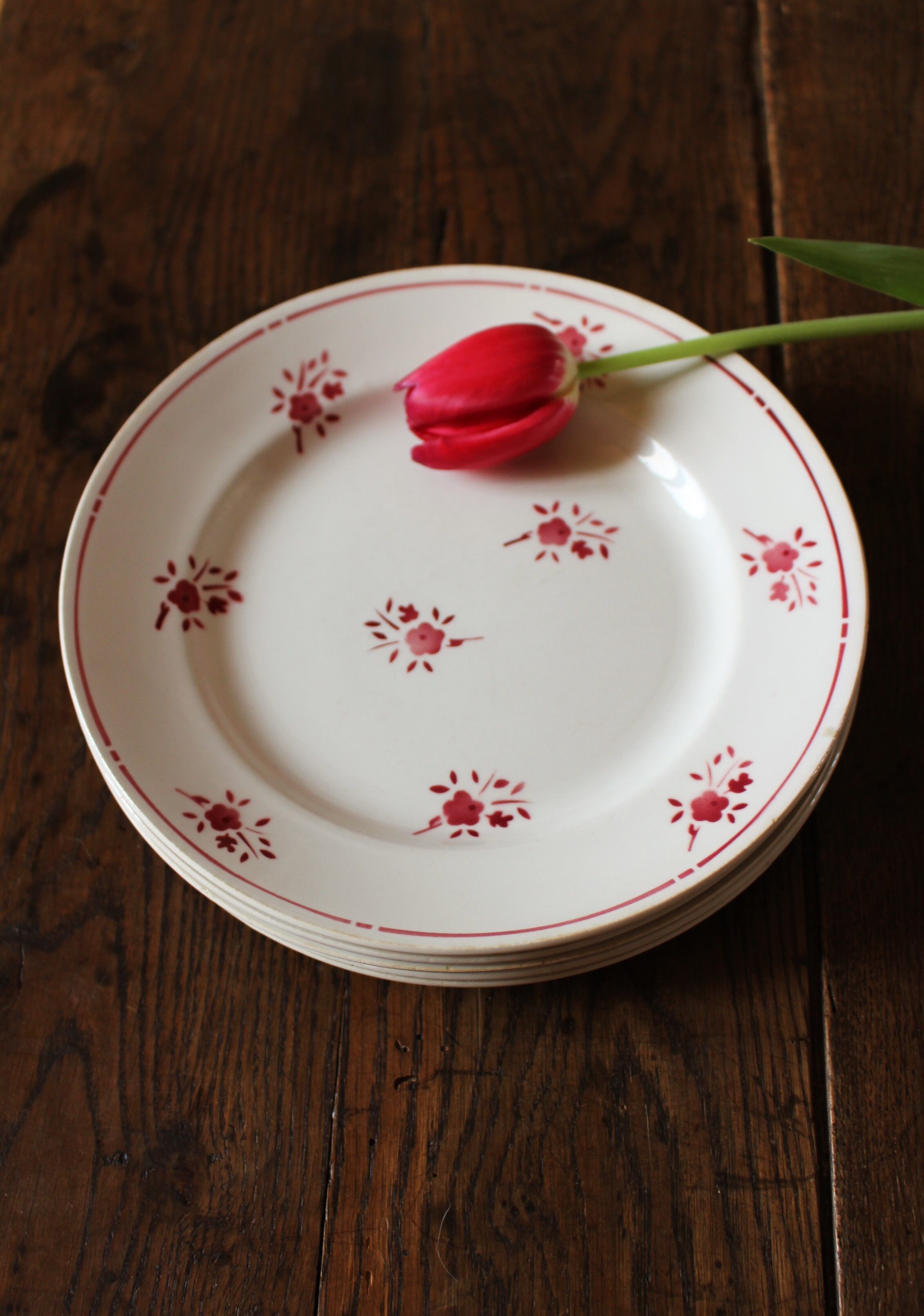 Lot 5 plates Plates Red Flowers Moulin des Loups Richard