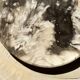 Very large pocket or dish in petrified wood