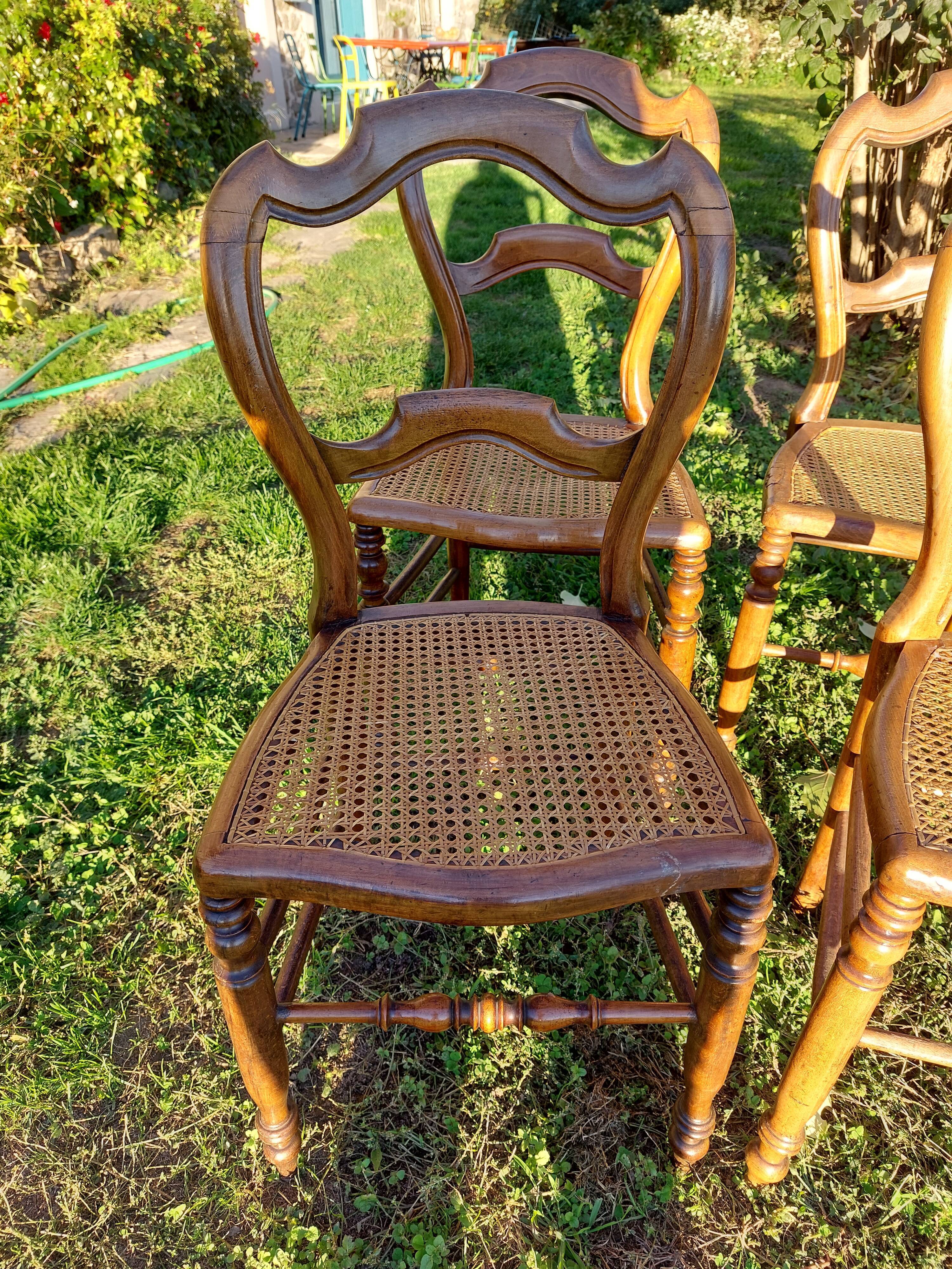 Lot of tanned chairs