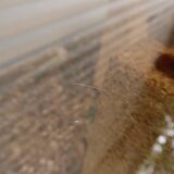 Large modernist coffee table smoked glass