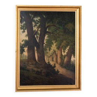 Huile sur toile scène de sous-bois début XXe