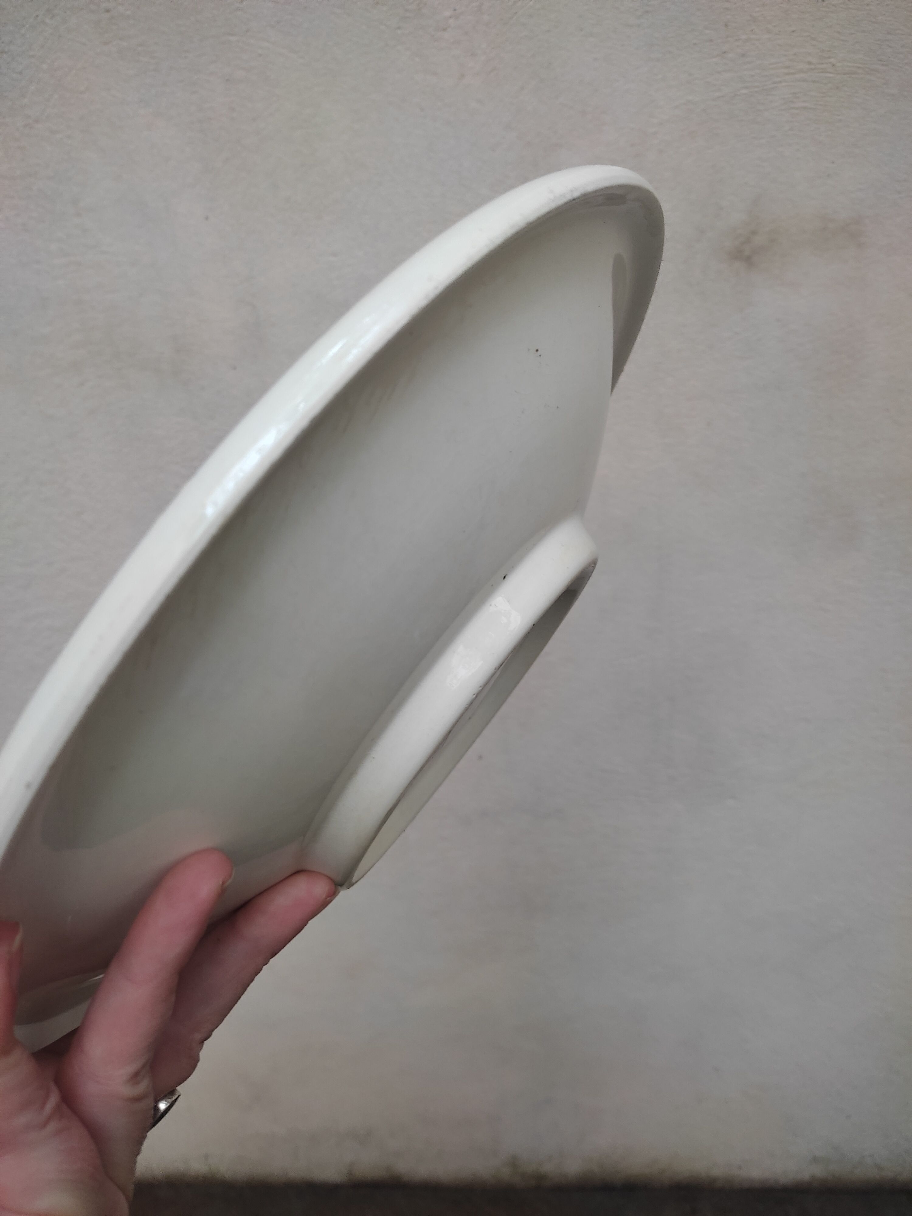 Semi hollow earthenware dish by Digoin