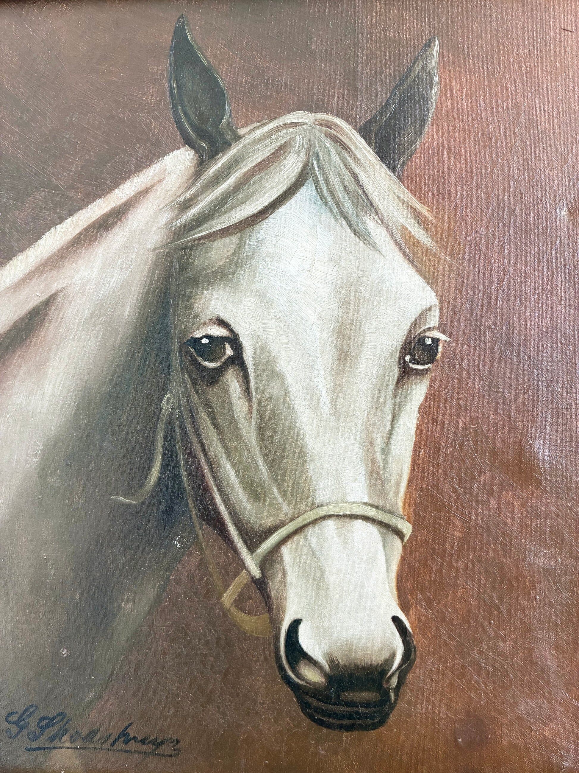 Peinture à l'huile vintage originale de cheval blanc, portrait équestre signé.