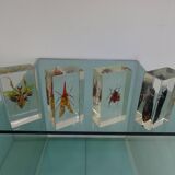 Lot 4 insects inclusion resins to identify vintage