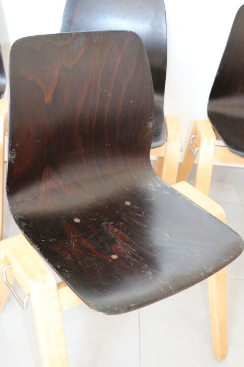 6 adult chairs pagholz wooden legs