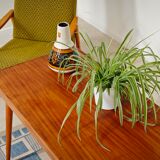 Side table compass legs Czechoslovakia Dievozpracujici mahogany